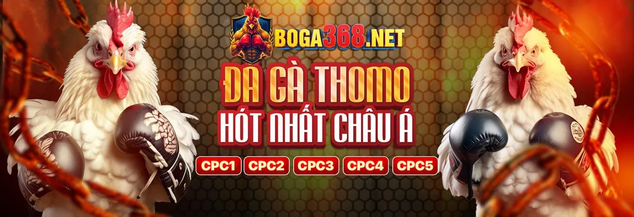 Đấu trường đá gà trực tuyến tại sb365 link vào