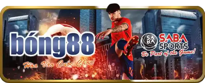 Hình ảnh minh họa dịch vụ hỗ trợ khách hàng và các chương trình khuyến mãi tại sb365 link vào